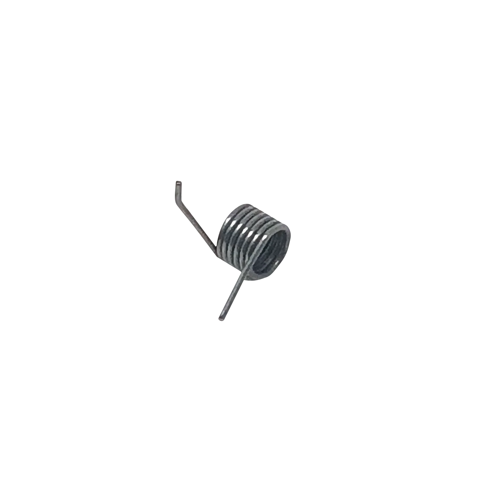 Rotor tray spring